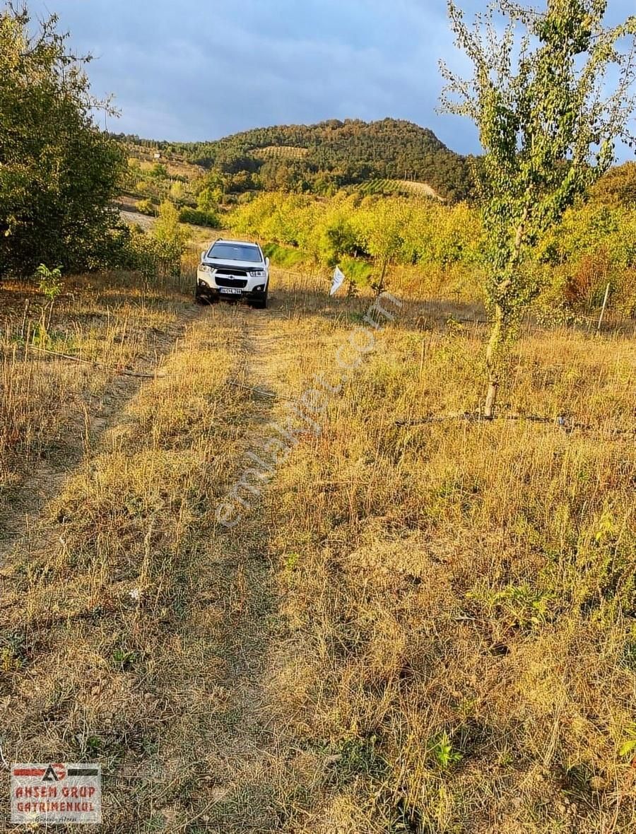 Sakarya Geyve Alıplar Mah. 3302 M² Satılık Arsa