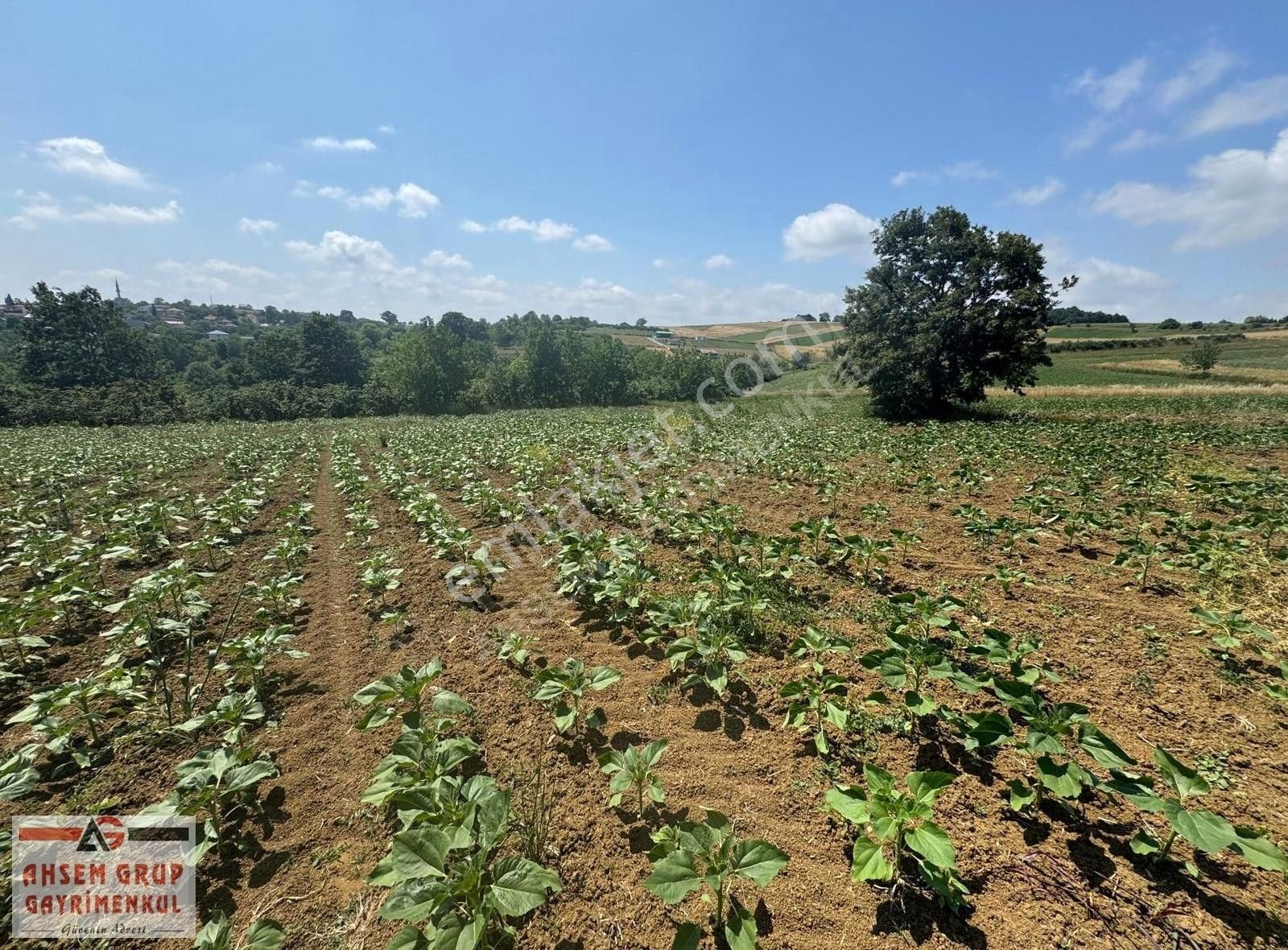 İmamlarda Yatırıma Uygun 1.330 M2 Satılık Havadar Konum Tarla
