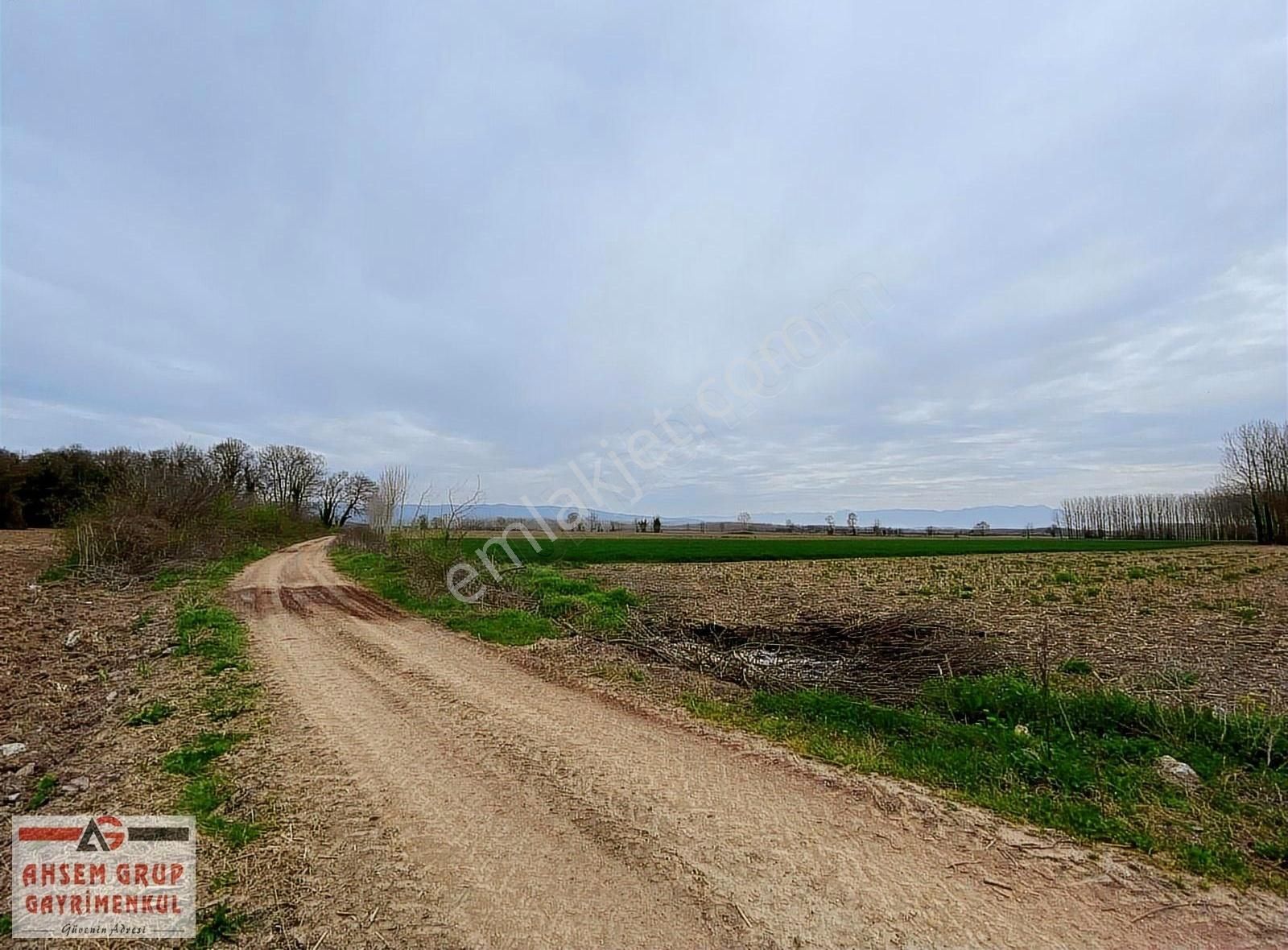 Sakarya Söğütlü Maksudiye Mah. 7353m2 Yol Kenarı Satılık Arsa