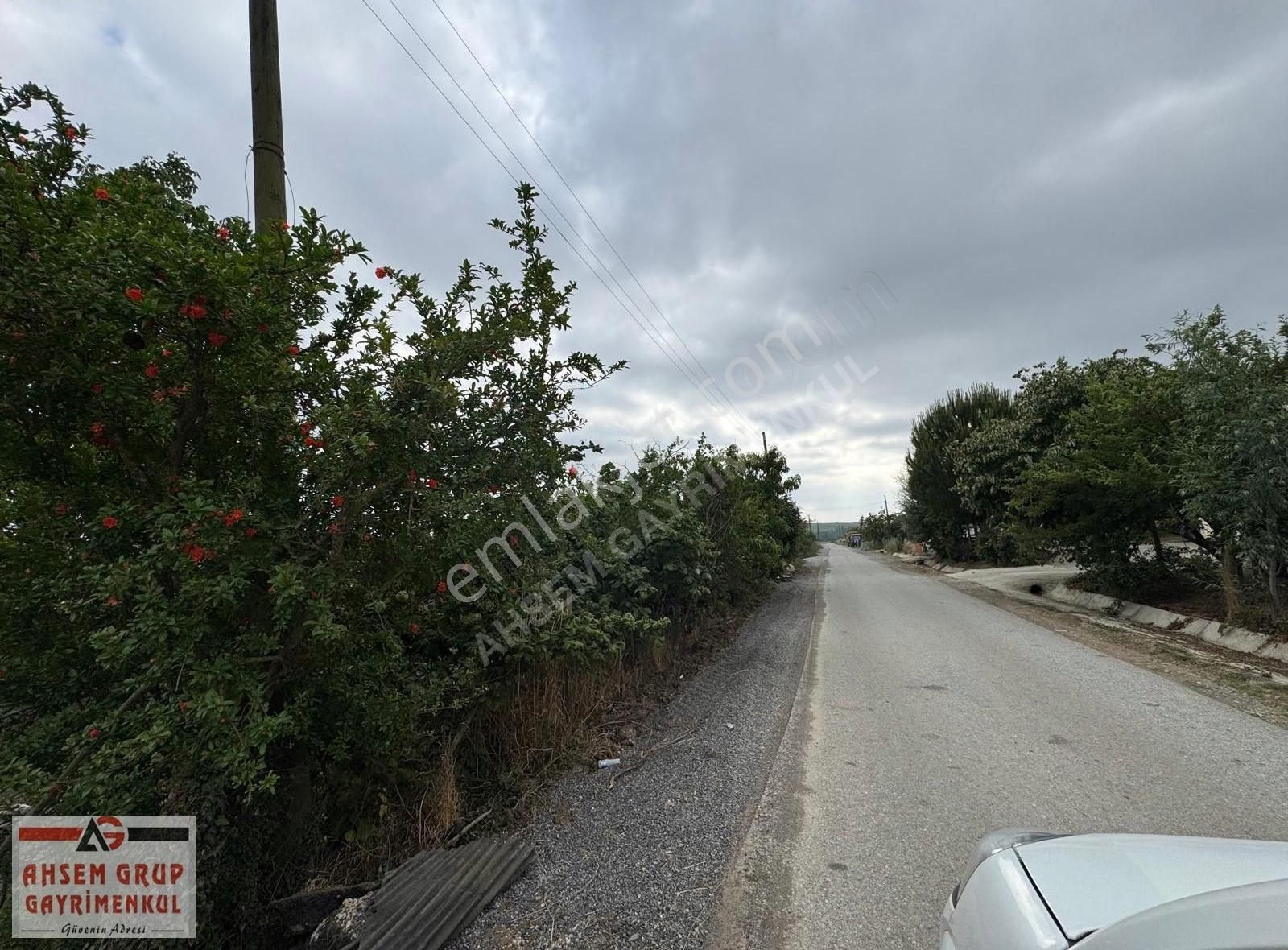 İmamlarda Köy Merkezine Yakın 1610 M2 Verimli Satılık Tarla