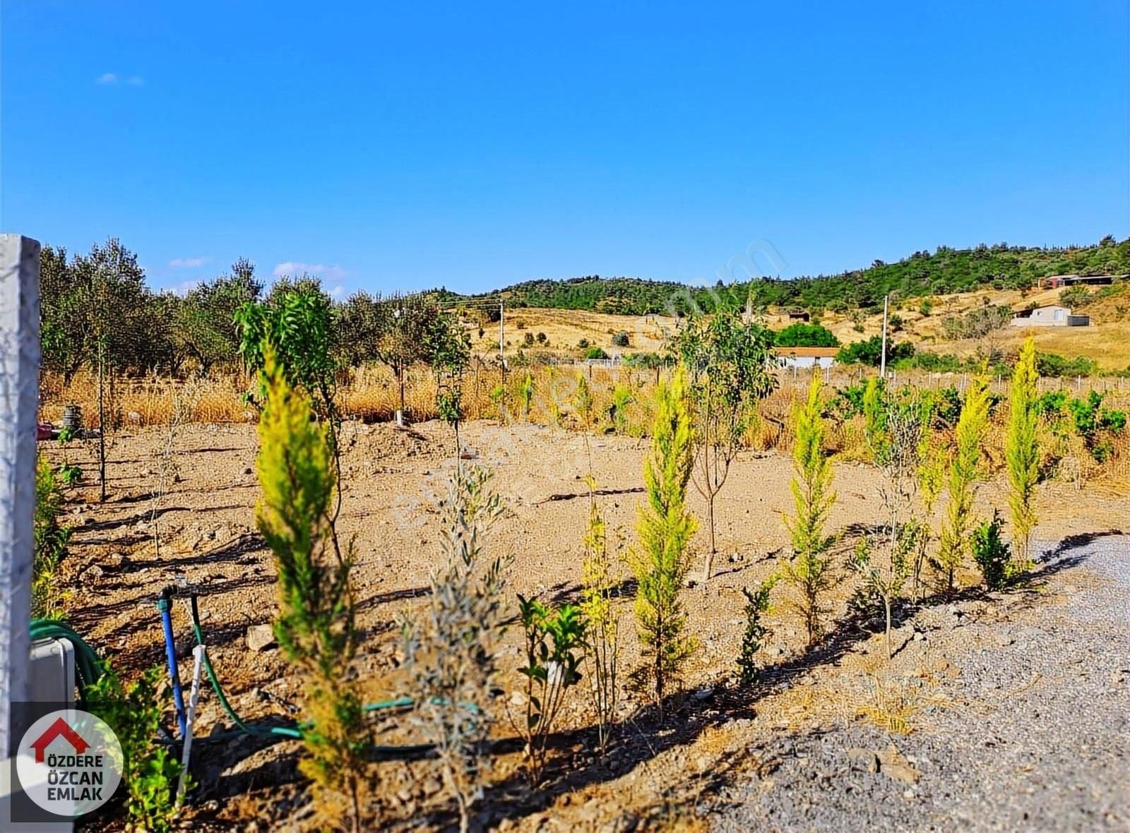 Tapulu Tarla Elektrik Ve Suyu Var - Görsel 2