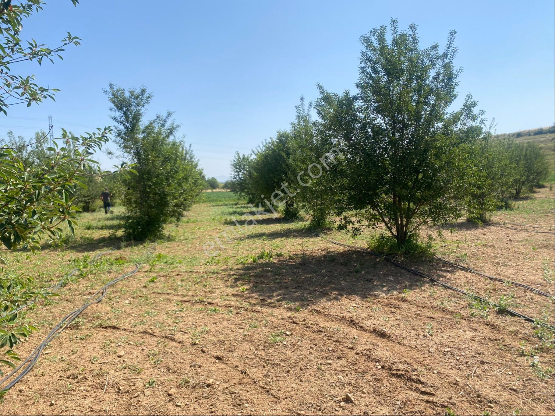 Dinamikten Satlık Bahçe - Görsel 2