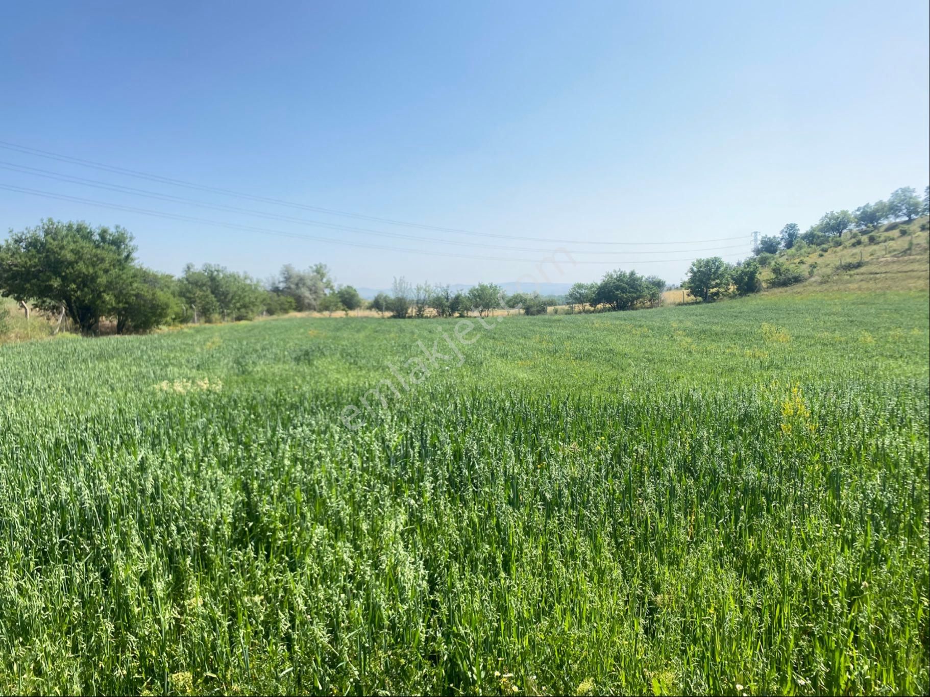 Dinamikten Satlık Bahçe - Görsel 3