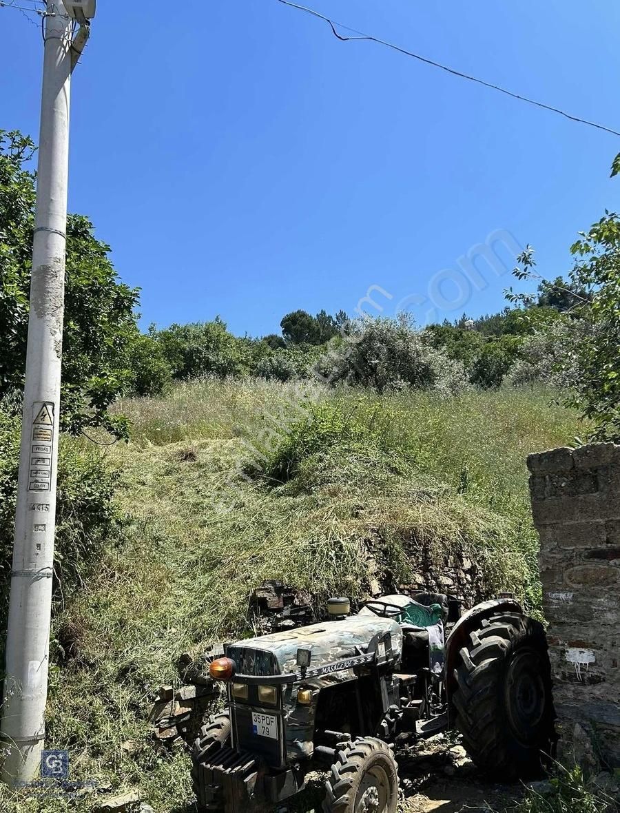 Kemalpaşa Cumali Köyünde 2790 M2 Satılık Tarla