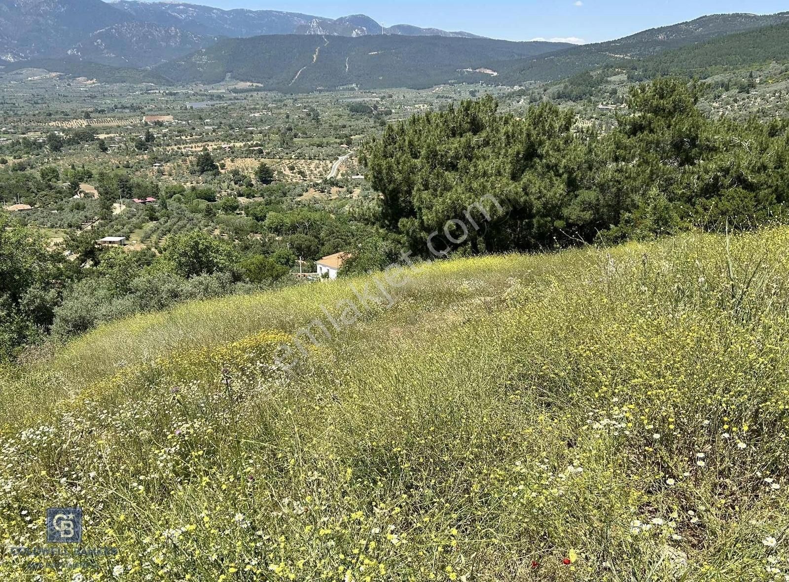 Kemalpaşa Cumali Köyünde Satılık 2790 M2 Tarla