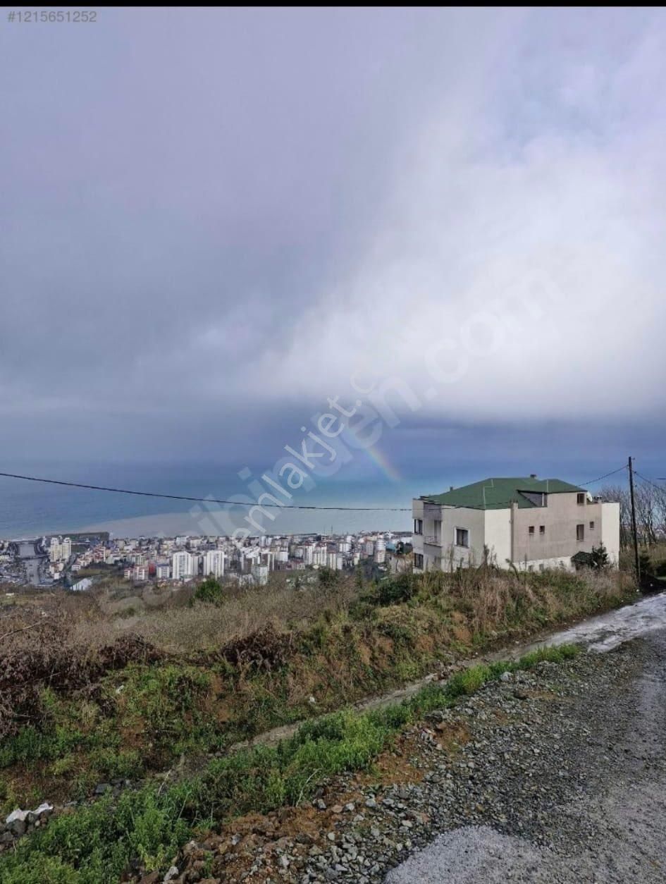 Söğütlü Esentepe De Eşşiz Manzaralı 548 M2 Arsa