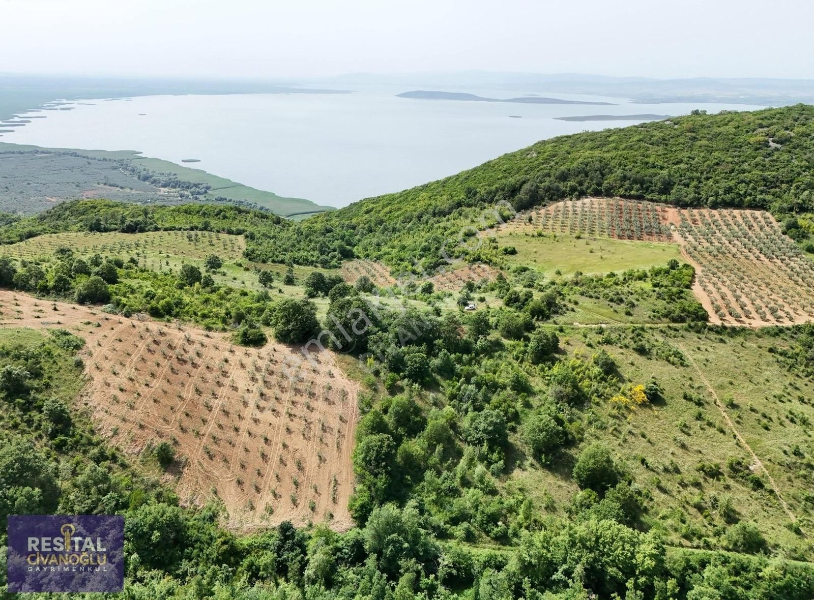 Nilüfer'in Örnek Köyü Olan Ayvaköy Mahallesinde Yatırımlık Arazi