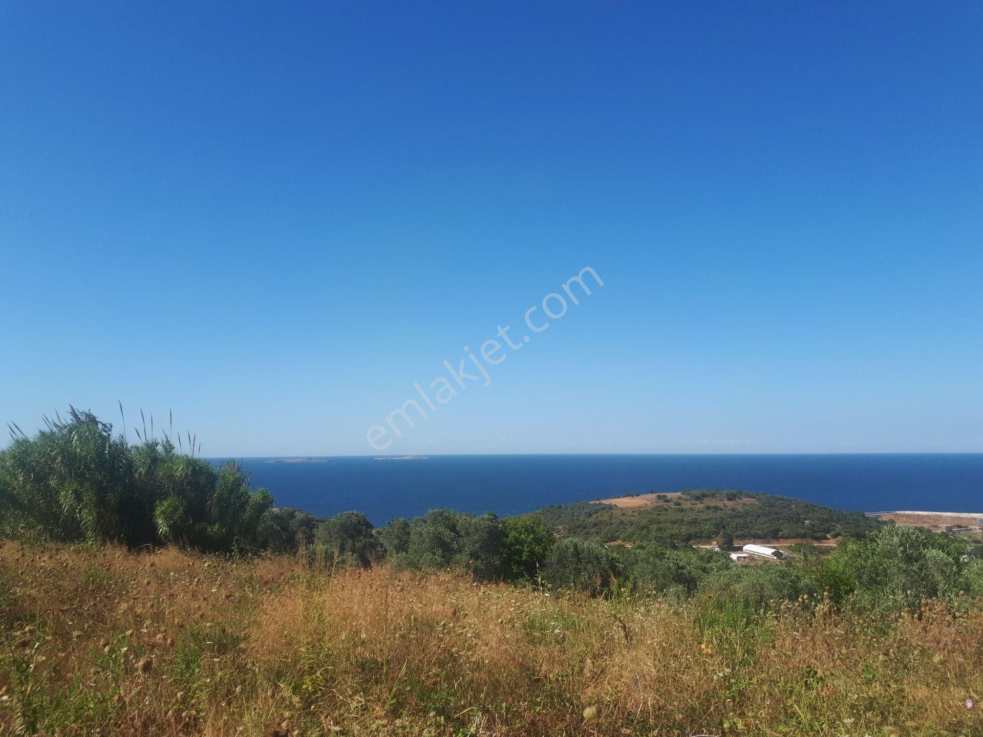 Satılık Doğa İçinde, Deniz Manzaralı Tarla