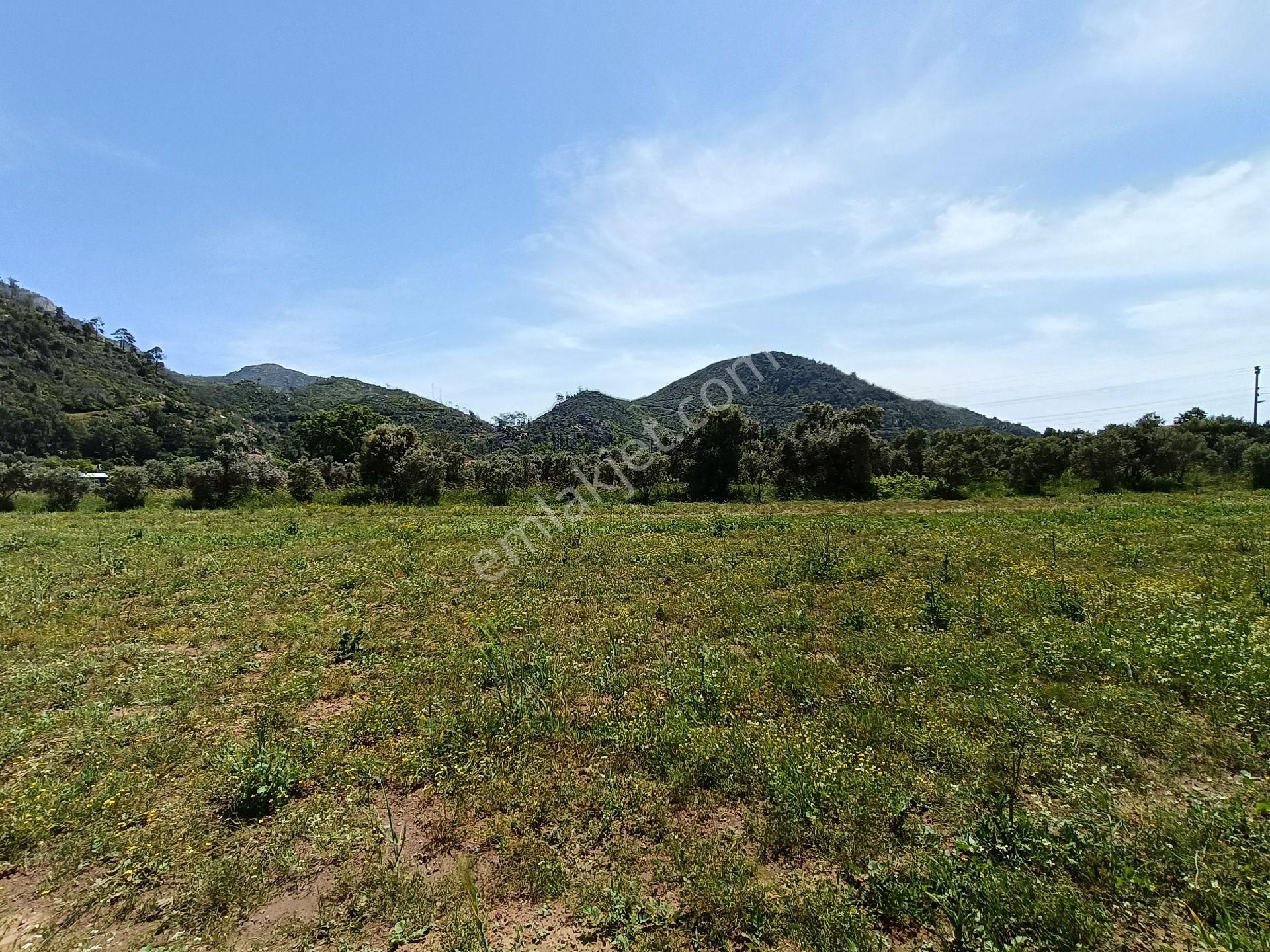 Joker: Marmaris Hisarönü Denize 750 Metre Yakınlıkta Satılık Tarla