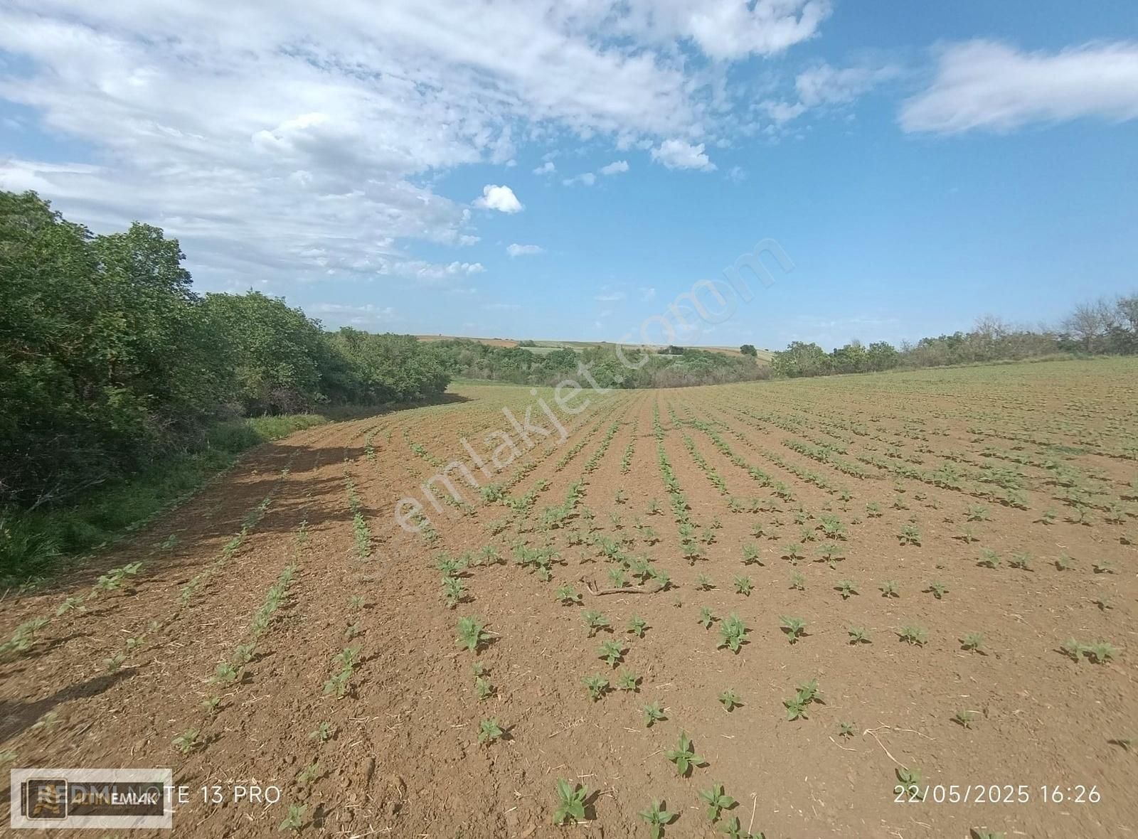 Tekirdağ Süleymanpaşa Karacakılavuz Mah. 7000 M2 Tarla