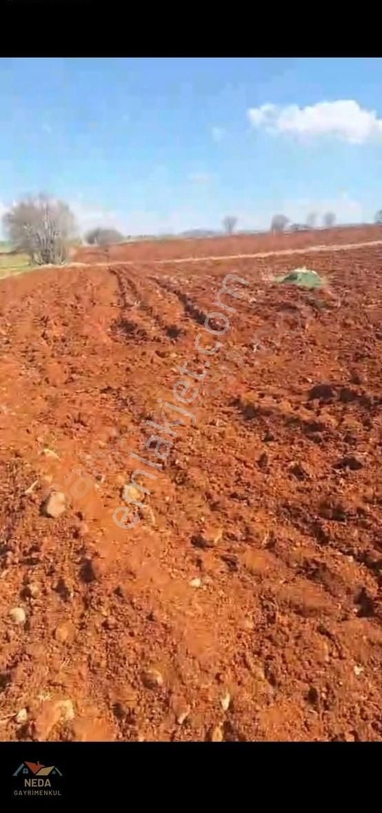 Akören Ağalar İmarın Yanı 3765 M2 Müstakil Tarla