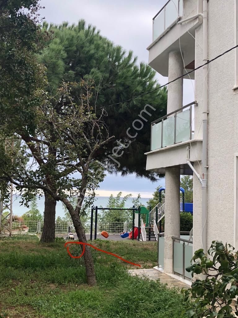Denize Sıfır Yazlık