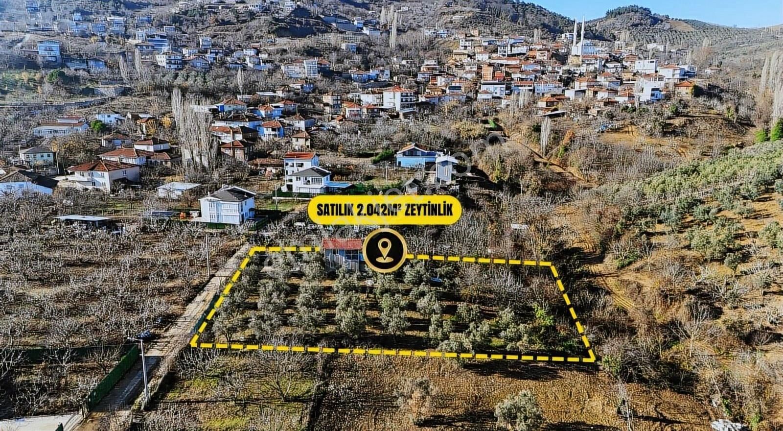 Bursa Mudanya Çepni Satılık Yatırımlık Fırsat Arazi