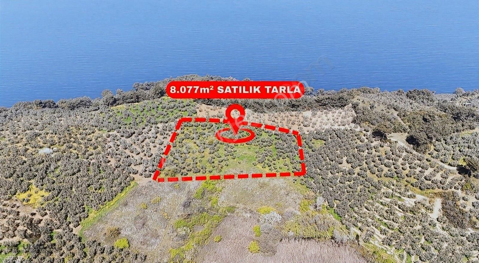Bursa Tirilye Halilbey 5000'lik Turizm İmarında