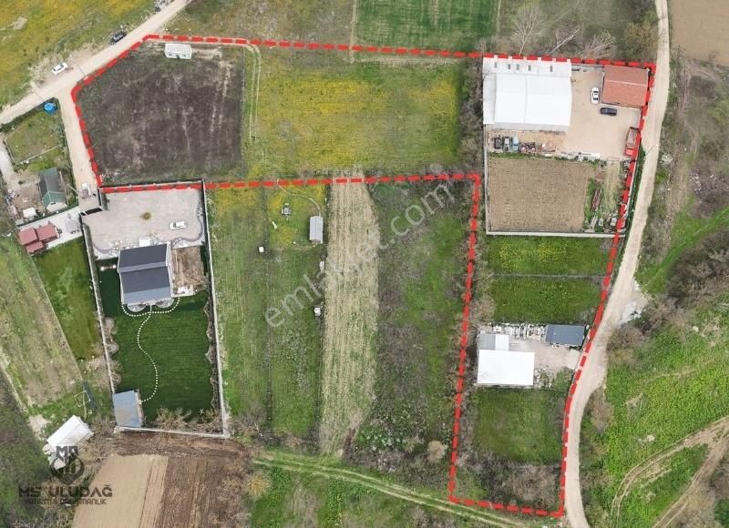 Bursa Nilüfer Yaylacık 8457 M2 İçinde 560 M2 Hisseli Tarla
