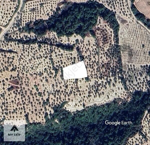Yayladağı Turfan Köyünde Doğayla İçiçe Huzurlu Bir Yaşam Fırstı