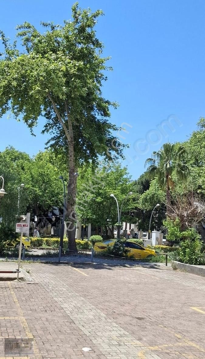Erdek Prestijden Kurbağalıda Denize 50m Doğalgazlı 2+1