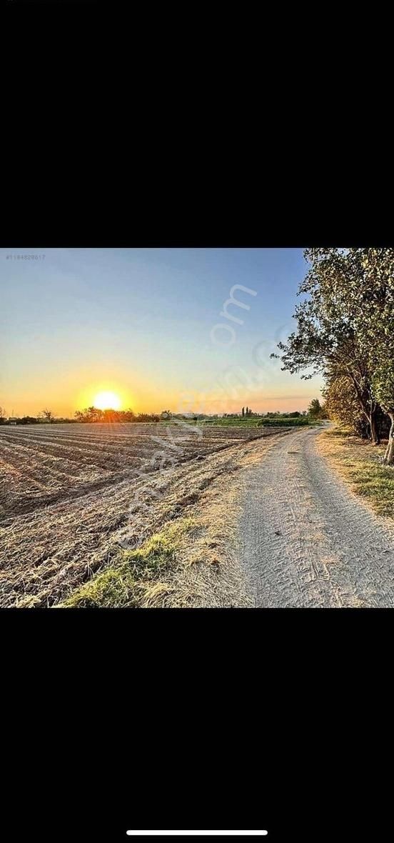 Gaziantep Havalimanına Yakın 7 Dönüm Tek Tapu Arazi