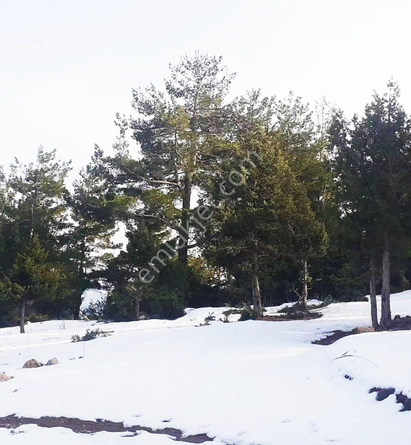 Pozantı Yeni Konacık Kırıntı Mevkiinde Satılık Arsa - Görsel 12
