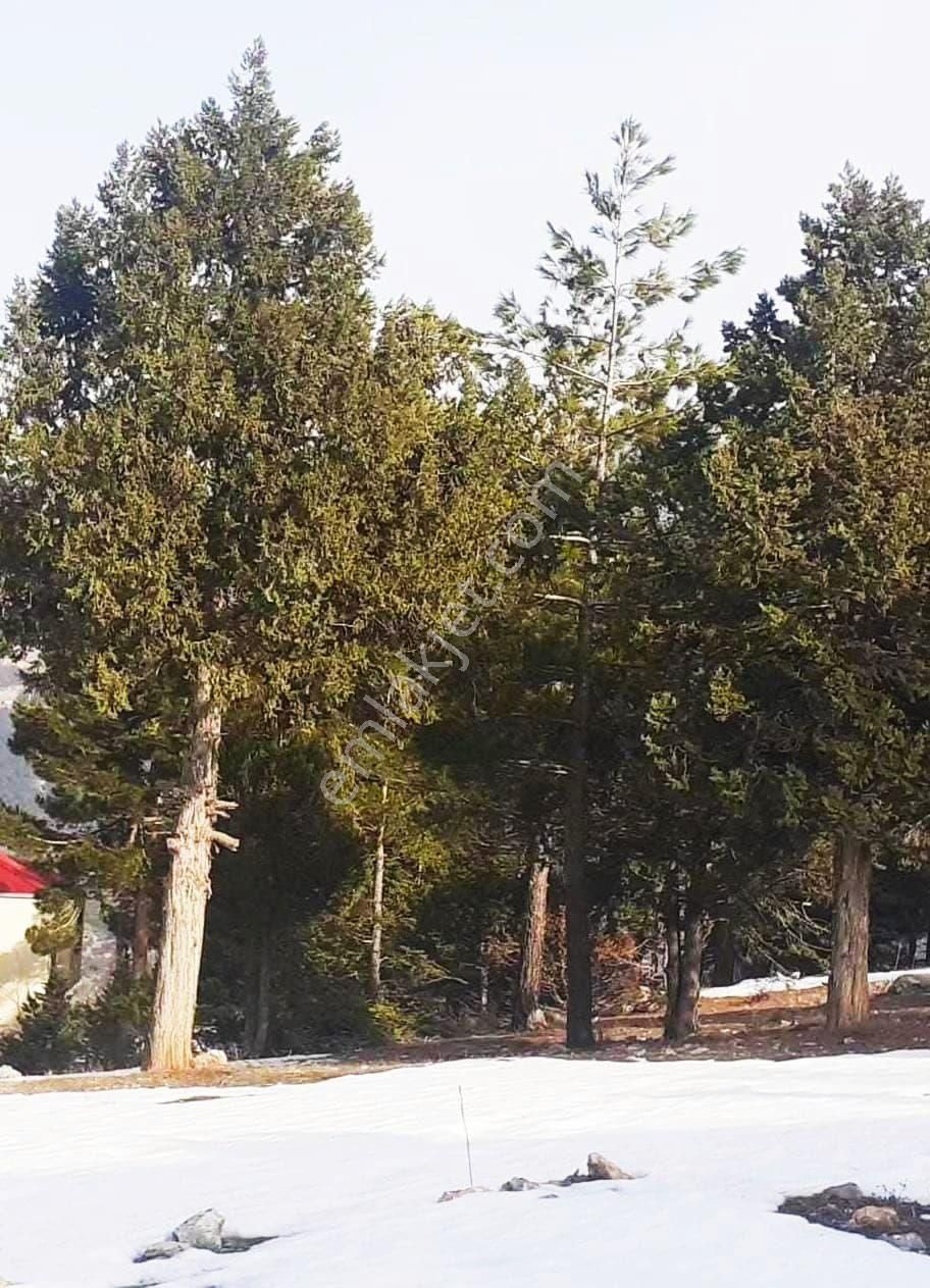 Pozantı Yeni Konacık Kırıntı Mevkiinde Satılık Arsa - Görsel 13