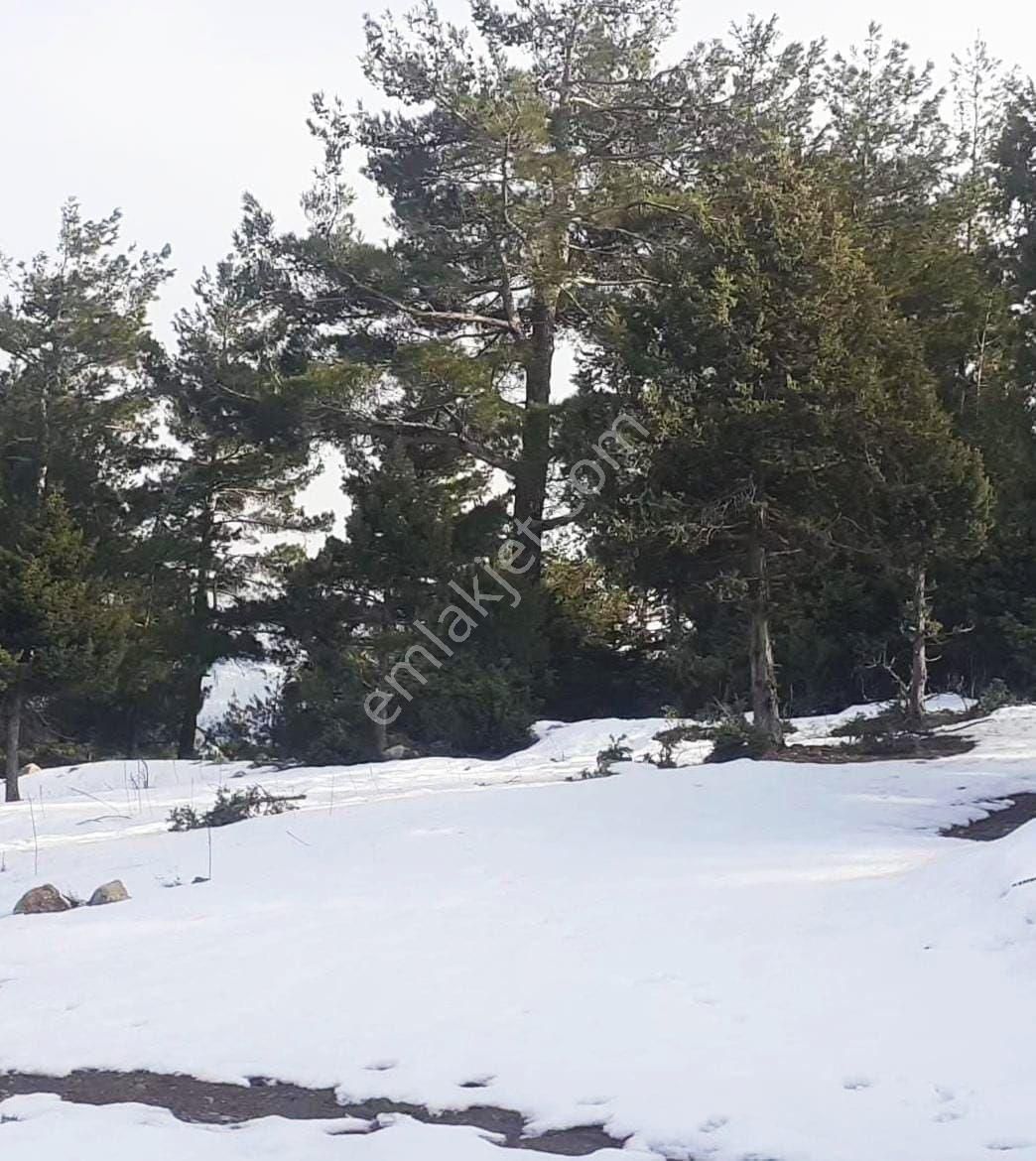 Pozantı Yeni Konacık Kırıntı Mevkiinde Satılık Arsa - Görsel 3