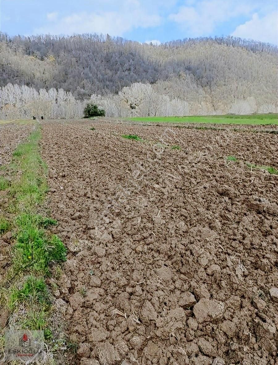 Eskioğlu'ndan Sakarya Nehrine Komşu Yolu Olan Yatırımlık Arazi