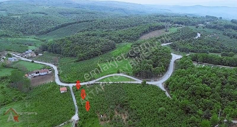 Aktapudan Düzce Akbıyıklar'da%50 2 Kat İmarlı Satılık Parseller