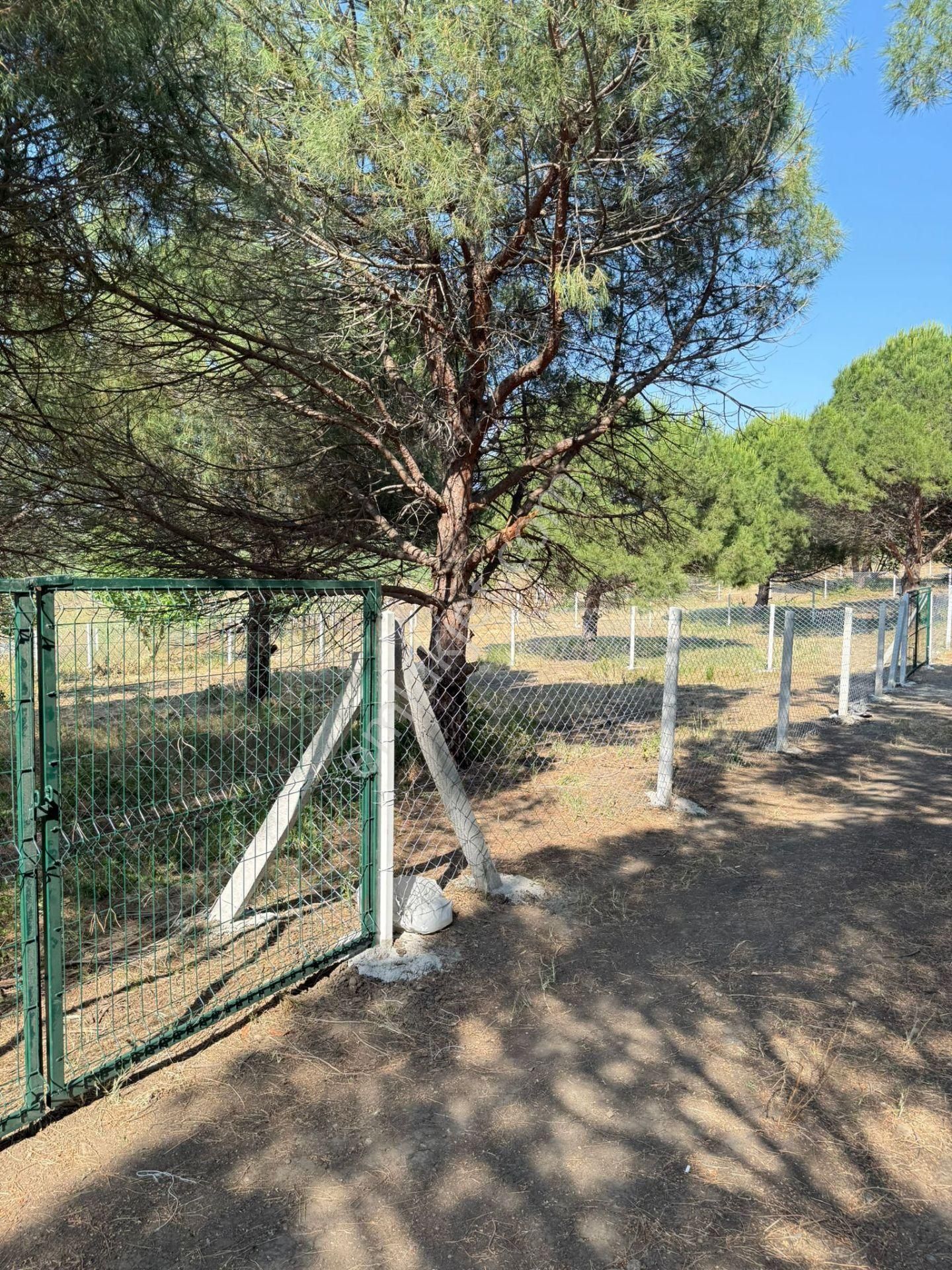 Marmaraereğli Çeşmeli 500m Etrafı Çevrili Ve Demir Kapılı Köye Çok Yakın Arsa