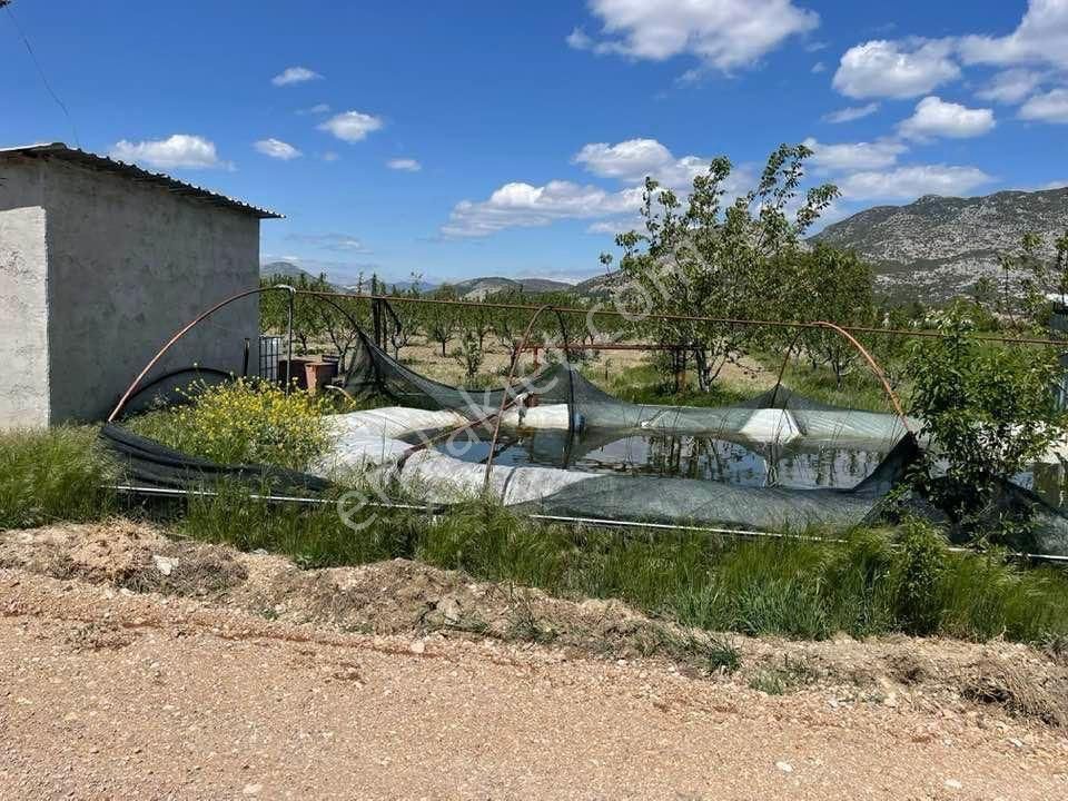 Tarla Değil Fabrika... - Görsel 16