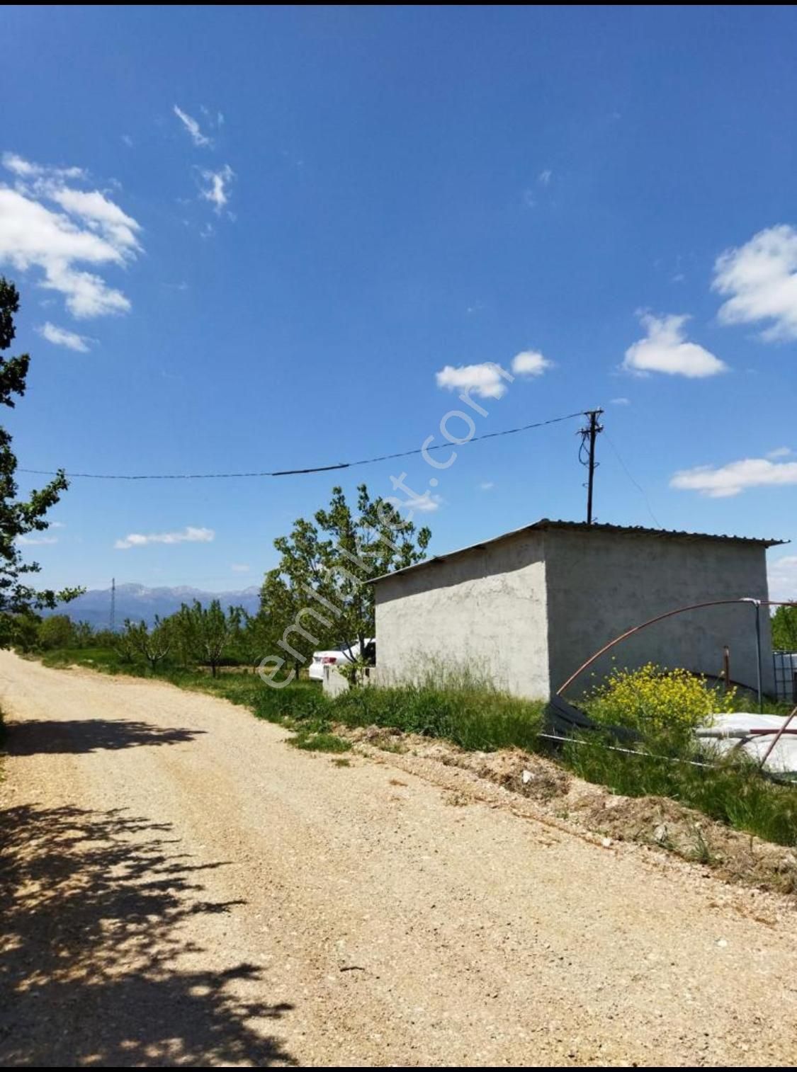 Tarla Değil Fabrika... - Görsel 8