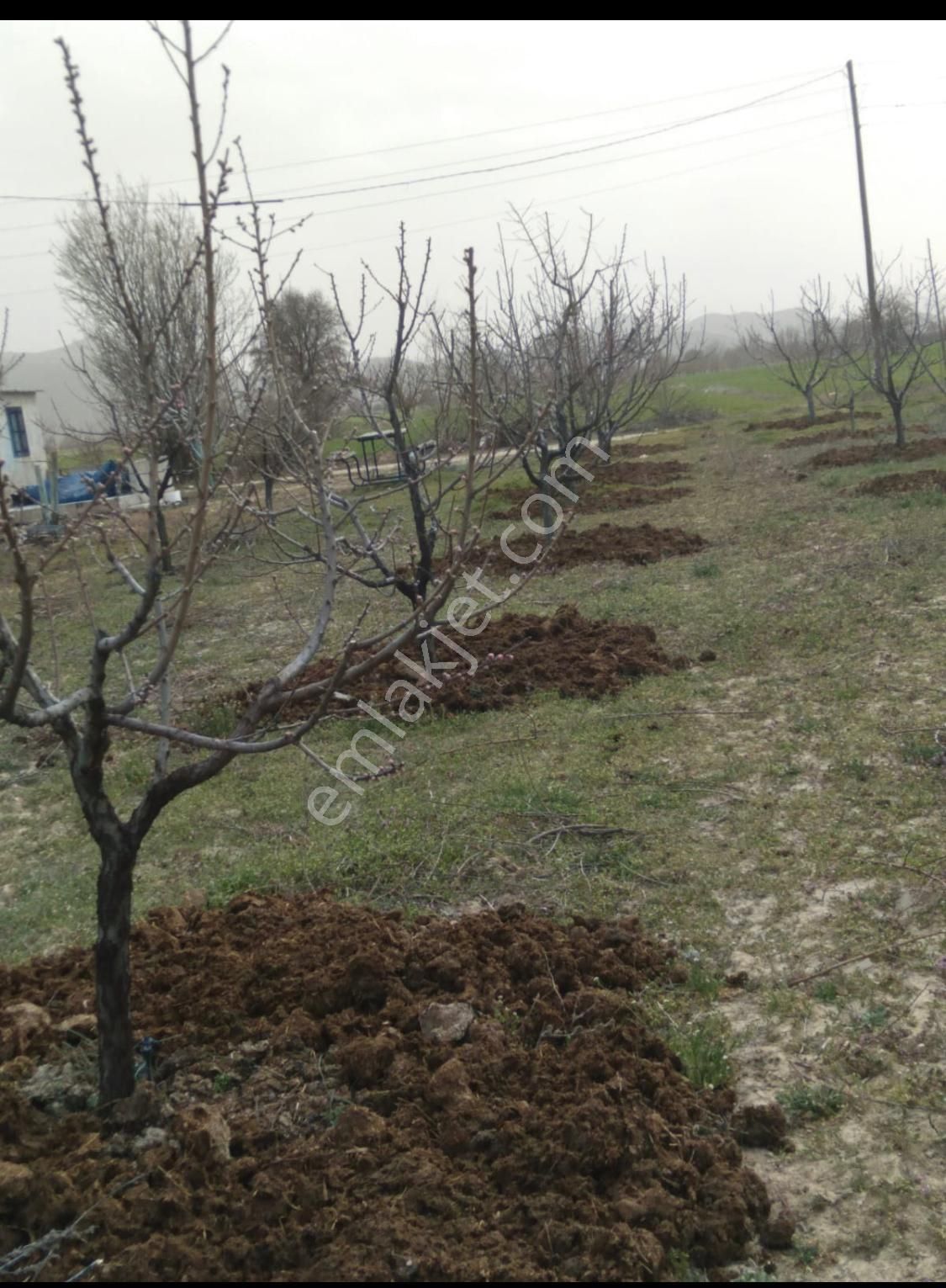 Tarla Değil Fabrika... - Görsel 21