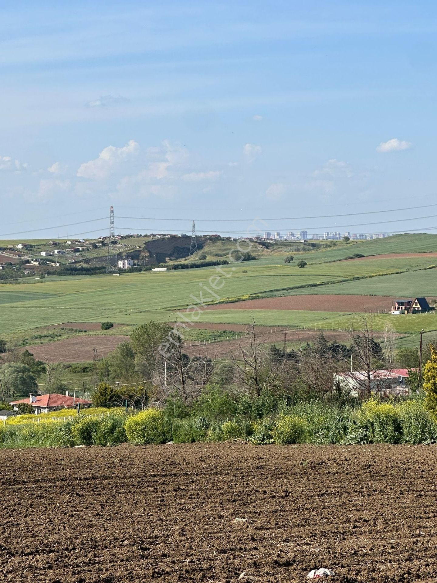 Marmaraereğlisi 350m2 Köy İçi Deniz Manzaralı Yatırımlık Arsa