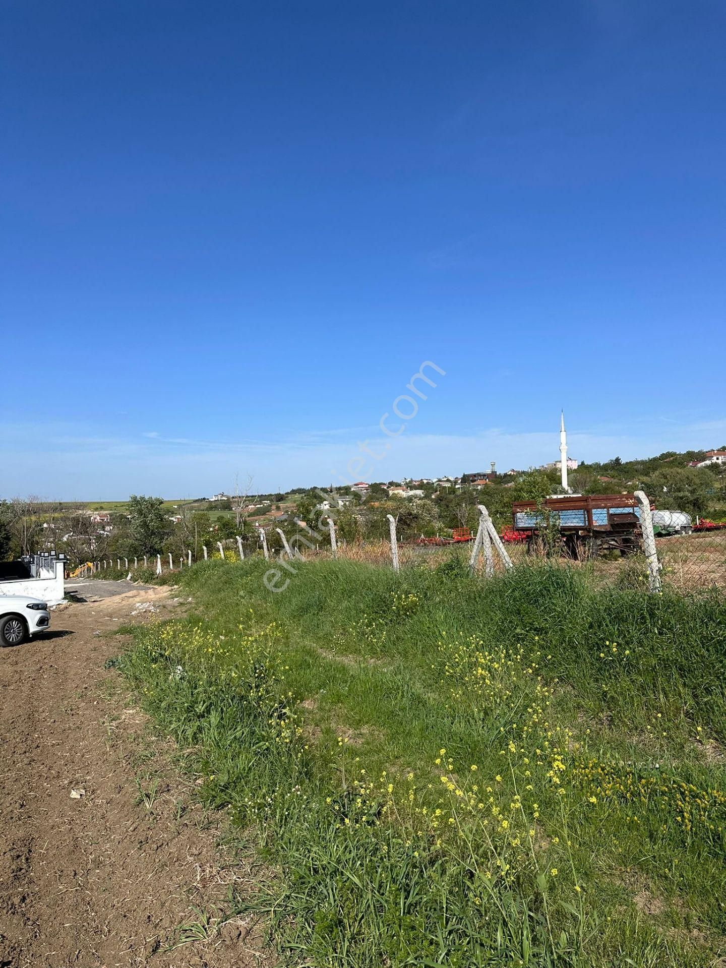 Marmaraereğlisi Yazlık Konumda 400 Metre Köy İçi Konumda Elektrik Suyu Olan Kupon Arsa