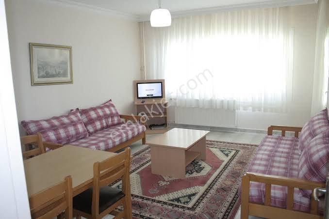 İhlas Armutlu 24 Haziran