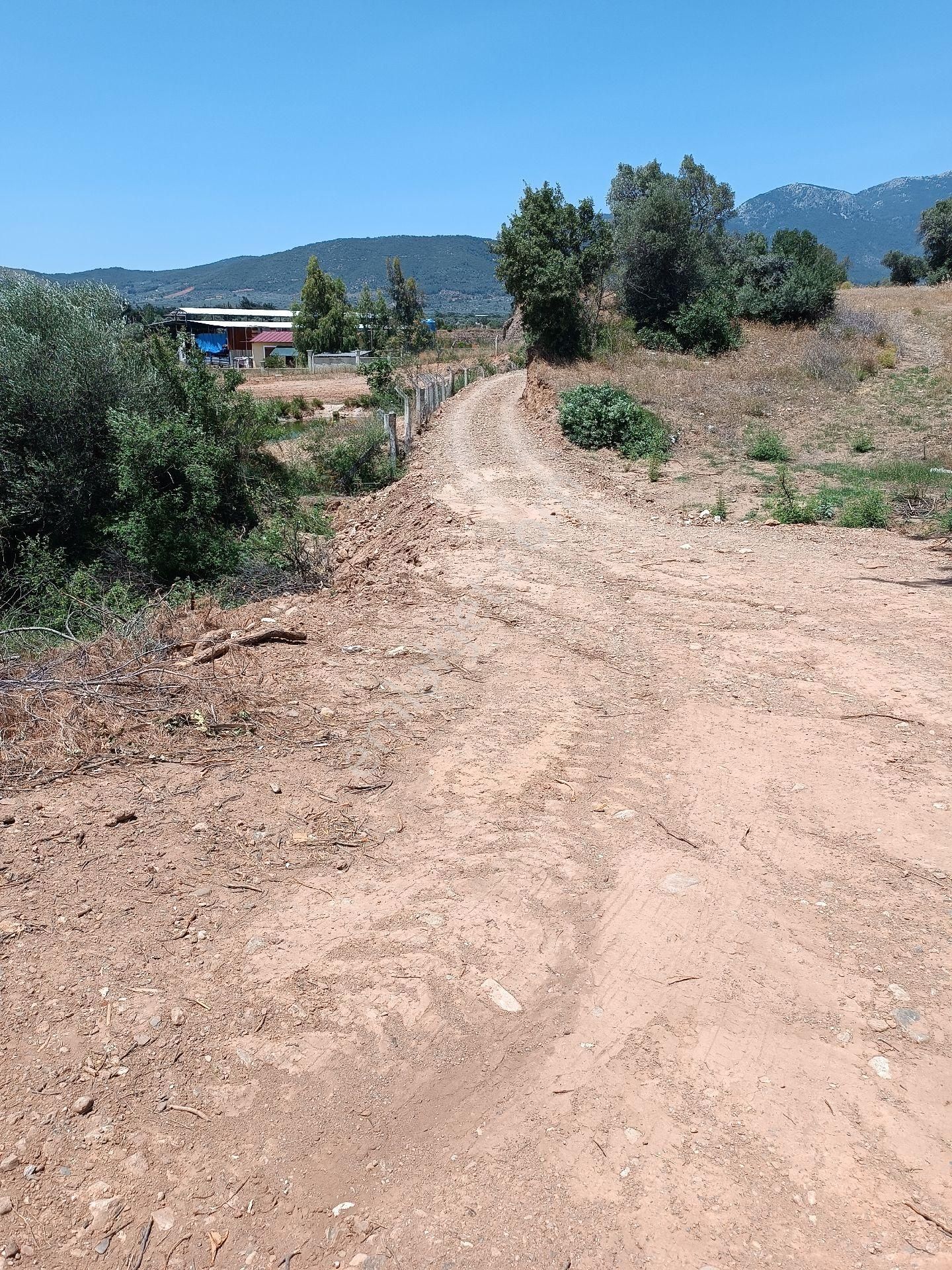 Torbalı Çakırbeyli Kavşağının Geçince Sağda Satılık Zeytinlik - Görsel 2