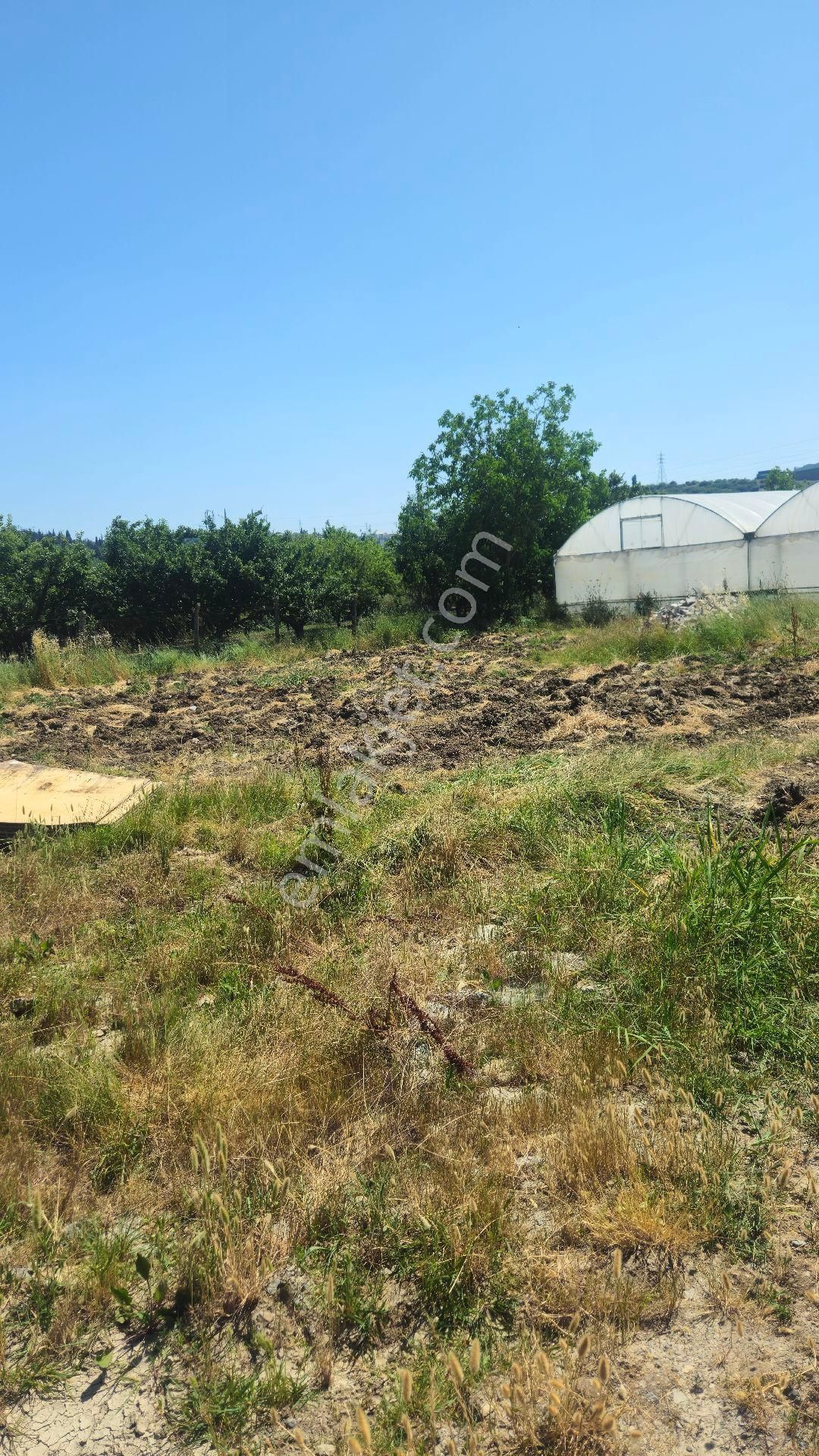 Sahibinden Satılık Tarla Merhaba Her İş Koluna Uygun Arazi - Görsel 2