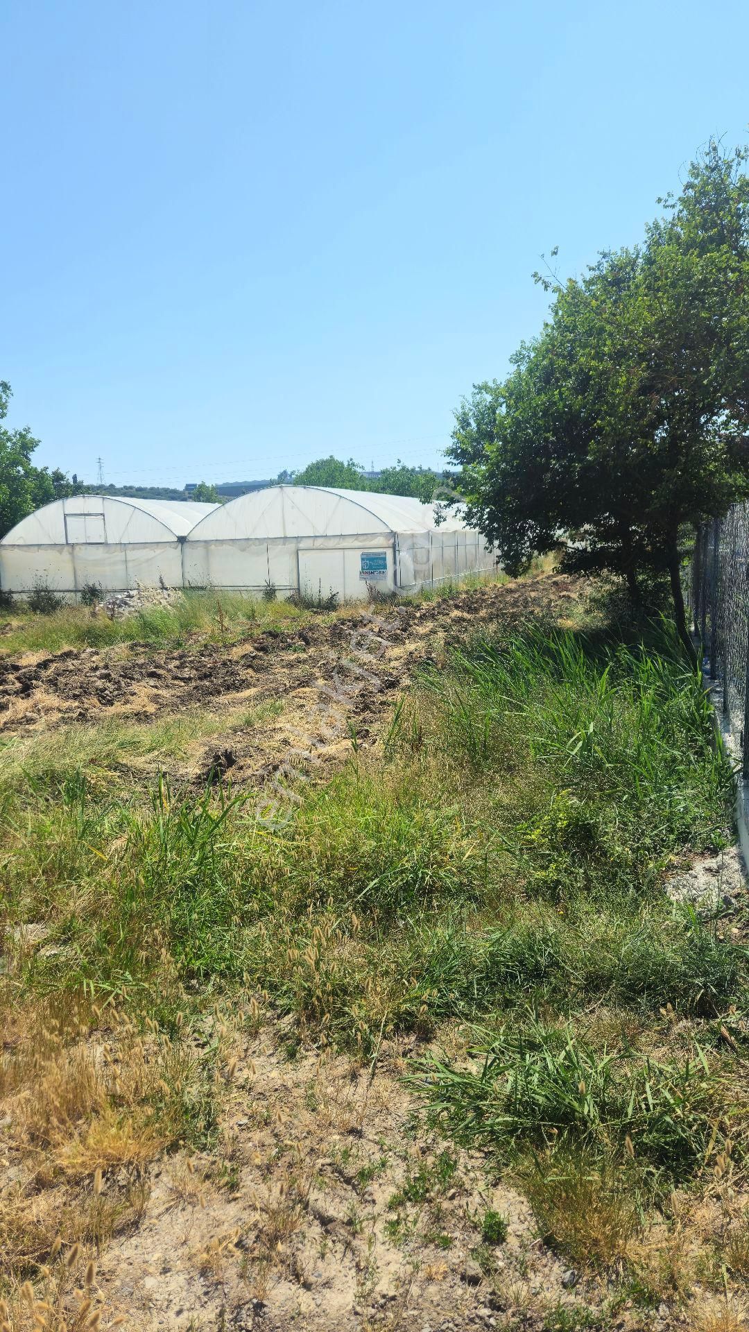 Sahibinden Satılık Tarla Merhaba Her İş Koluna Uygun Arazi - Görsel 3