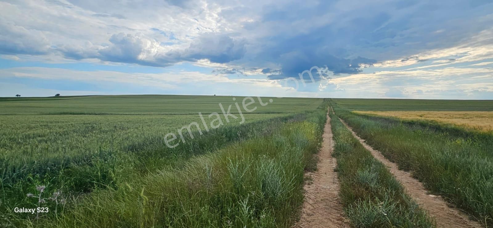 Edirne Süloğlu Taşlısekban Köyünde Yola Cepheli 29.208 M2 Yatırıma Uygun Tarla