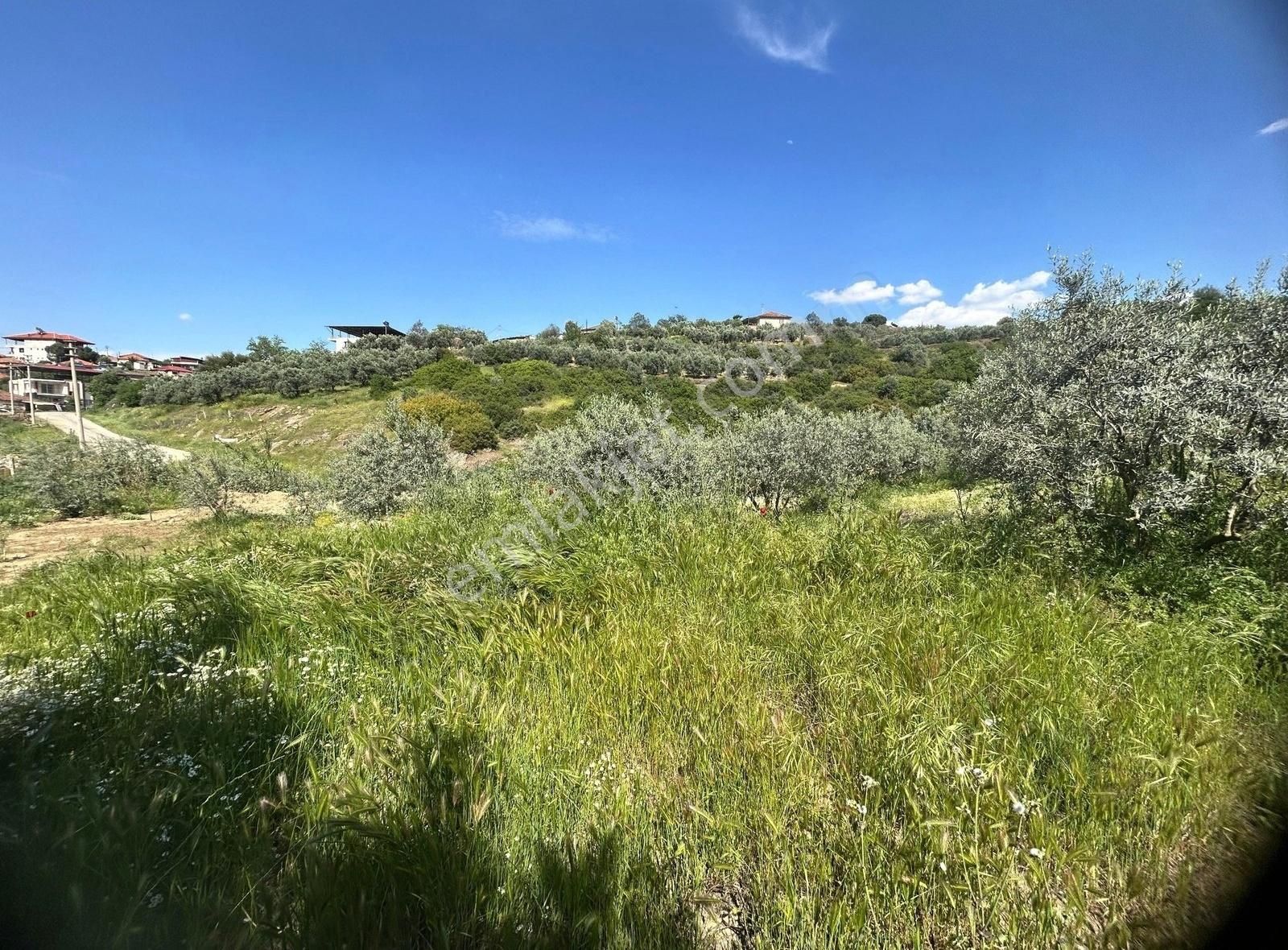 Sarıgöl Avşar Mahallesinde Her Türlü Kullanıma Uygun - Görsel 5