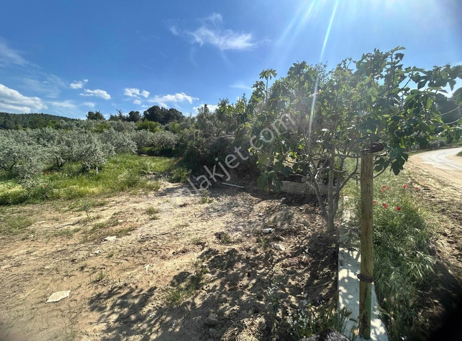 Sarıgöl Avşar Mahallesinde Her Türlü Kullanıma Uygun - Görsel 7