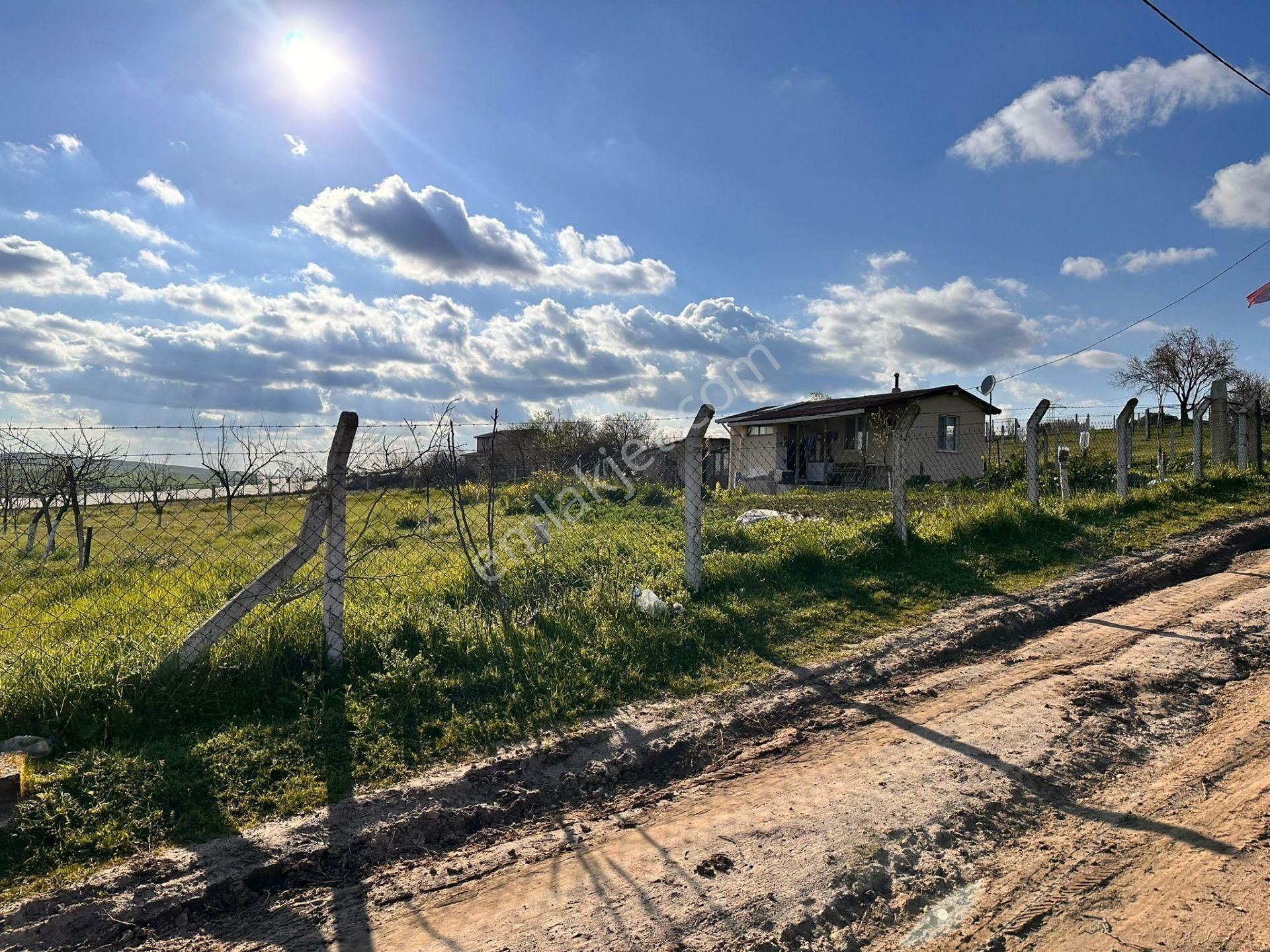 Tekirdağ Marmaraereglisi Çeşmeli Köy İçi Elektirik Suyu Olan Kelepir Satılık Arsa