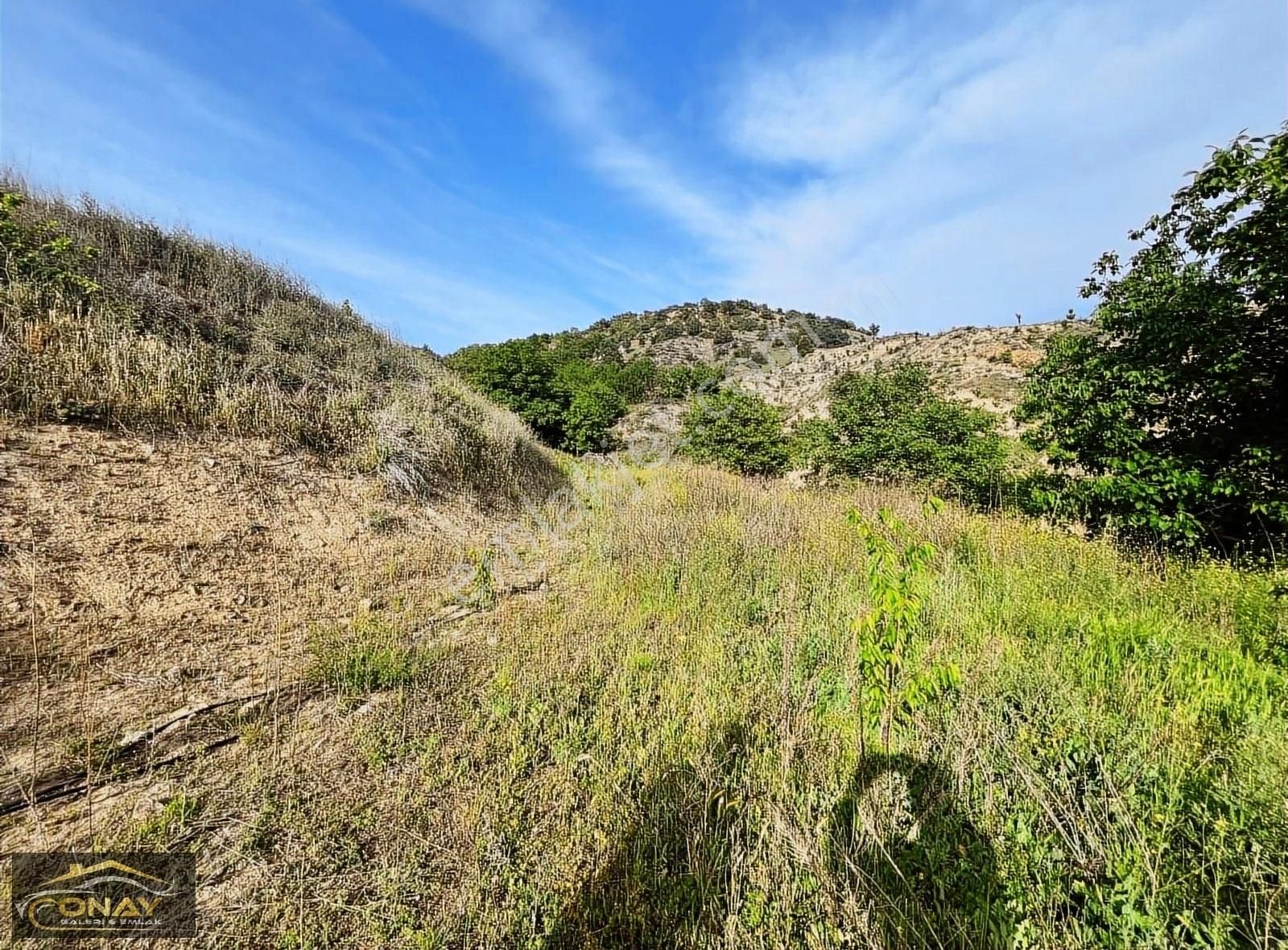 Onay Emlak' Tan Satılık Aydınlık Köyünde 1.438m2 Bağ, Bahçe