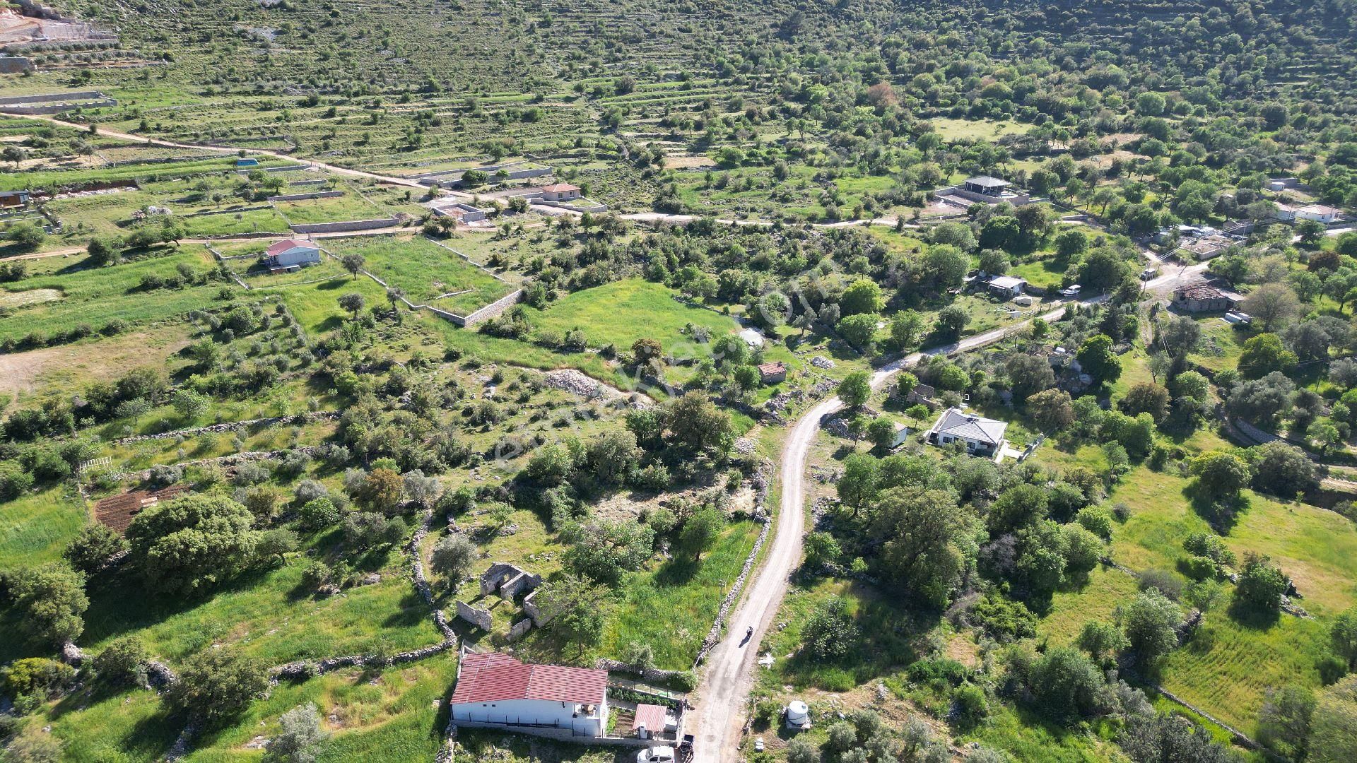 Joker: Marmaris Söğüt Yol Cephe Tiny House Arazisi