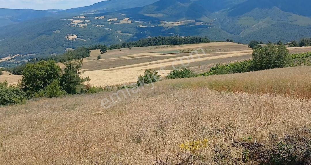 Eroğlu Emlaktan Mükemmel Manzaralı 2.071 M2 Arazi