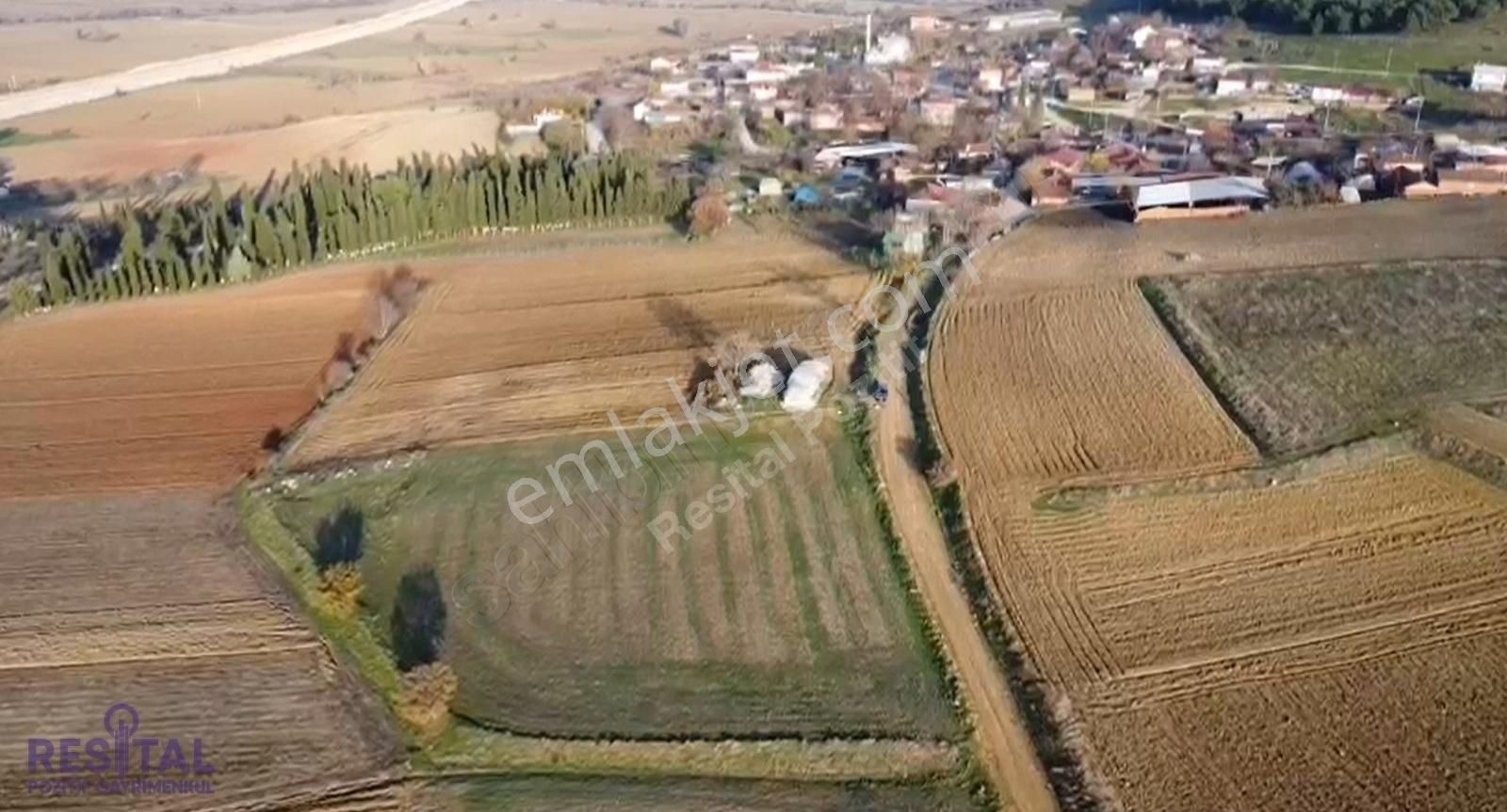 Yenişehir Papatya Köyünde Satılık 4.800 M² Tarla(sonfiyat)
