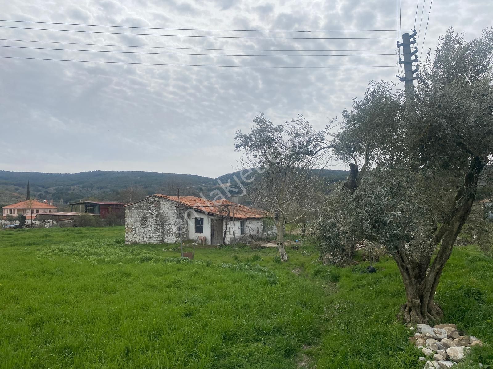 Muğla Yeşilyurtta Satılık Evli 981m2