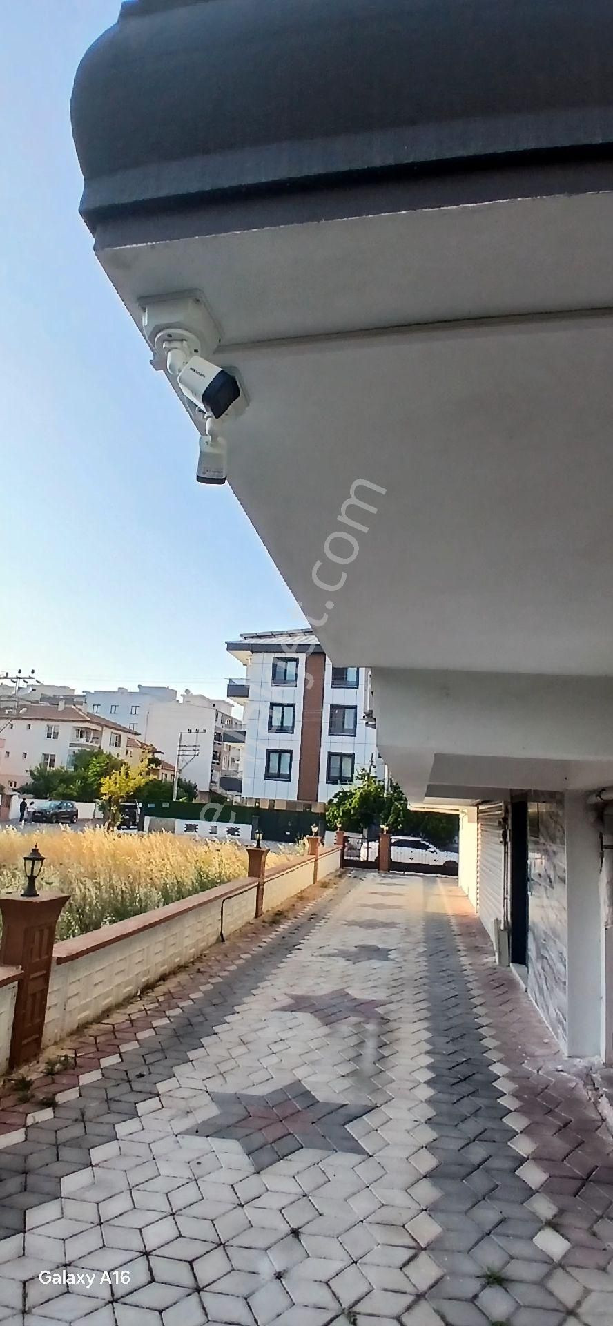 Gölet İçinde Fırsat