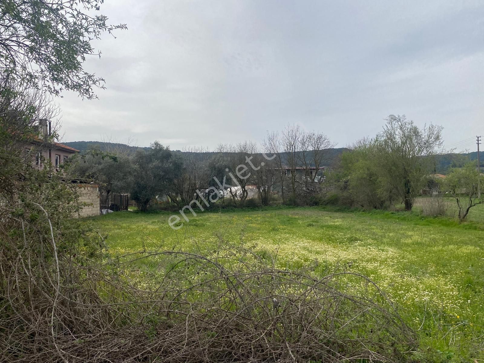 Muğla Yeşilyurtta Satılık 750m2