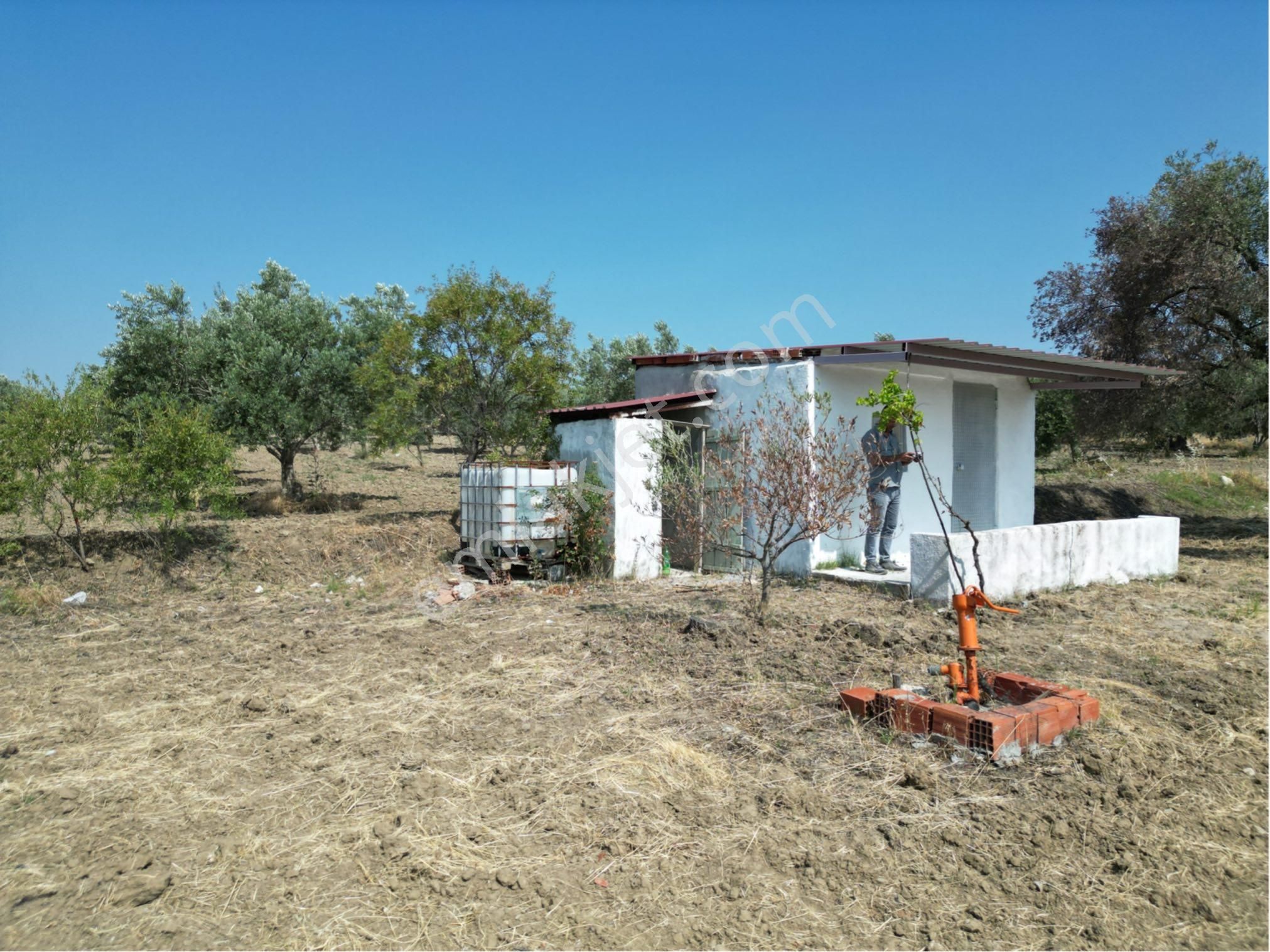 Beyaz Gayrımenkulden Saruhanlı Kepenekli Mh 2,750 M2 Süper Zeytinlik - Görsel 8