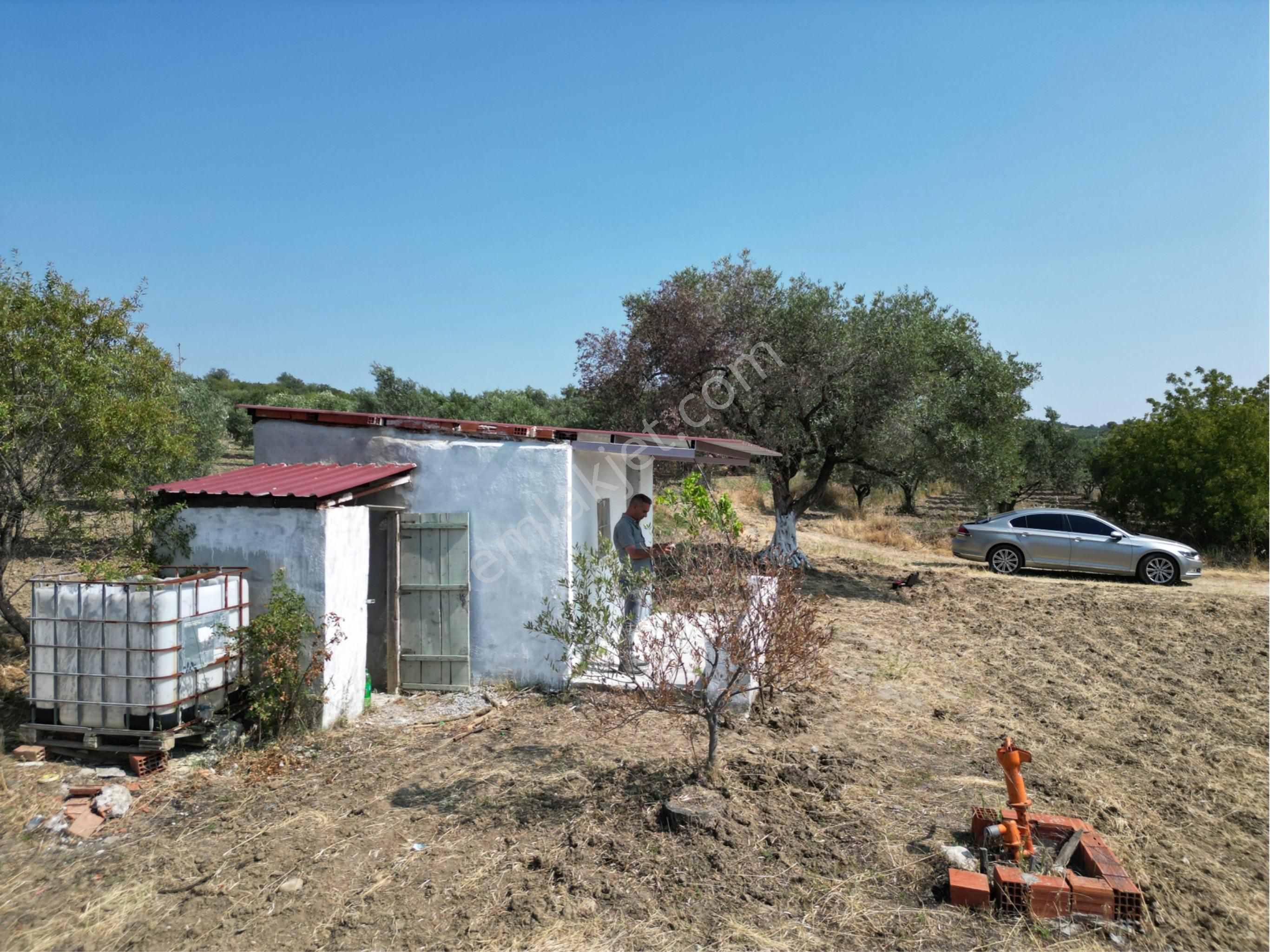 Beyaz Gayrımenkulden Saruhanlı Kepenekli Mh 2,750 M2 Süper Zeytinlik - Görsel 5